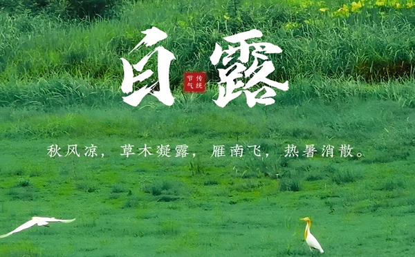 贡嘎白露清新，新创洁与您共享洁净之美